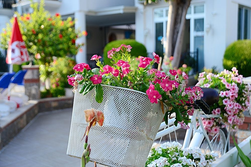 Bronze Hotel Oludeniz Exterior photo